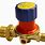 LP Gas Pressure Regulators