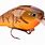 Largemouth Bass Fishing Lures