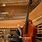Largest Double Bass