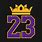 LeBron James King 23