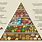 Levels of Food Pyramid