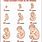 Life Cycle of Human Baby