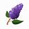 Lilac Bush Clip Art