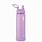 Lilac Steel Water Bottle with Straw Camel