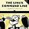 Linux Command Line Book