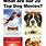 List of Dog Movies