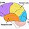 Lobes Diagram