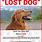 Lost Dog Found