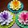 Lotus Flower Craft