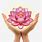 Lotus Flower Hands