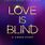 Love Is Blind Netflix Show