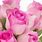 Love Pink Roses Flowers