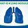 Lung Nodules Concern
