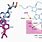 M6A Reader Structure