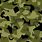 M90 Camo Pattern