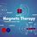 Magnetic Therapy How It Works
