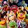 Main Muppet Characters