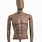 Male Mannequin Torso with Head