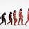 Man Evolution Stages