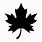 Maple Leaf Vector Free