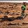 Marvin the Martian On Mars
