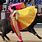 Matador Bullfighter