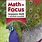 Math in Focus Grade 6