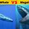 Megalodon Whale Shark