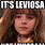 Meme Hermione Leviosa