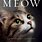 Meow the Book for Cats