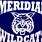 Meridian Wildcats High School