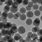 Mesoporous Silica Nanoparticles