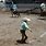 Mexican Rodeo Horse Tripping