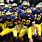 Michigan Wolverines College Football