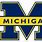 Michigan Wolverines Decals