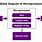 Microprocessor Block Diagram