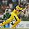 Mike Hussey ODI Cricket