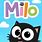 Milo The Cat