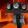 Minecraft Nether Wit Her