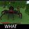 Minecraft Spider Meme