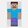 Minecraft Steve Pixel