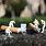 Miniature People Photography