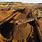 Mining Industry Australia