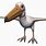 Miocene Pelican