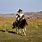 Mongol On Horse