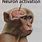 Monkey Brain Neuron Activation Meme
