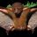 Montane Monkey-Faced Bat