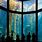 Monterey Bay Aquarium Exhibits