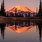 Mount Rainier Sunrise