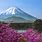 Mt. Fuji Summer